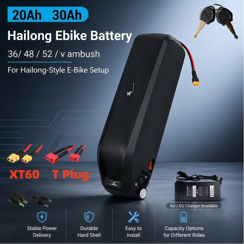 Vielseitiger Hailong-Akku, Mul – Ebike Battery 48V 20Ah Hailong Bewertung und Preis